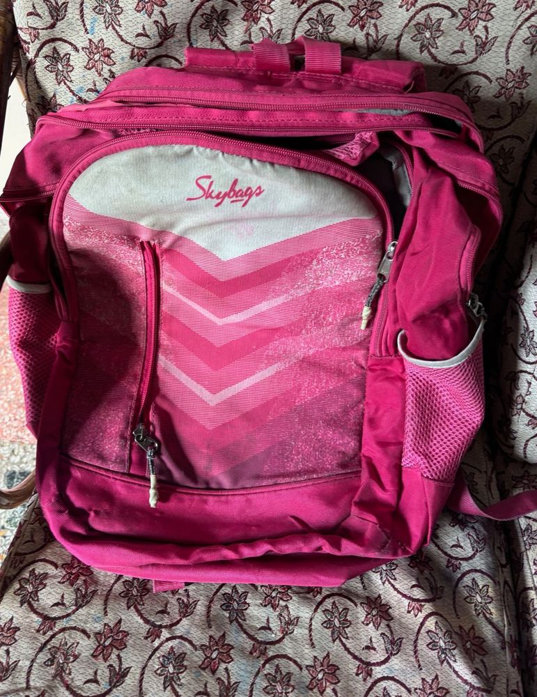 Skybags Pink Backpack