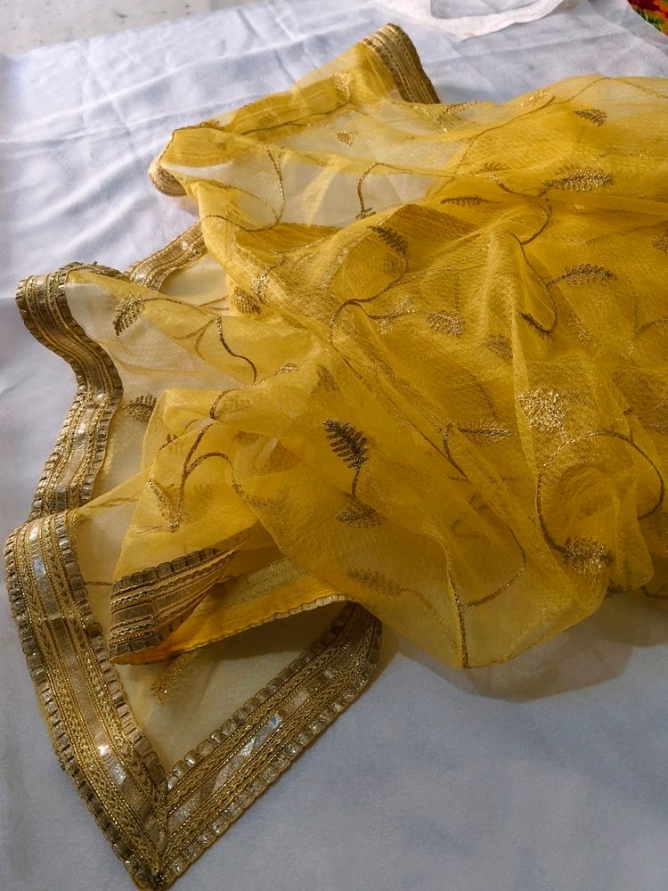 VERY Beautiful Net Dupatta