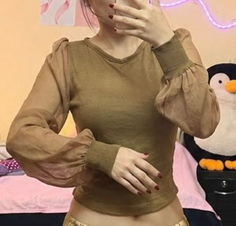 Chic Sheer Sleeve Top