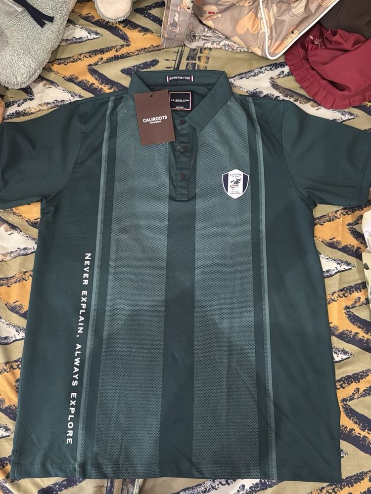 Caliroots Men's Dark Green Polo Shirt