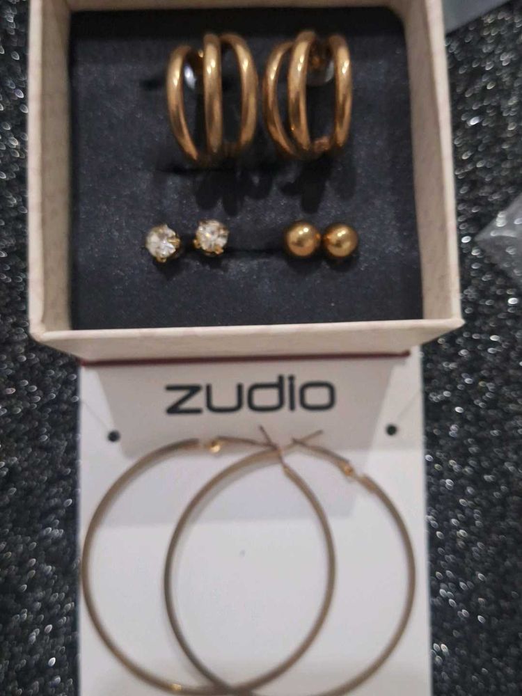 Zudio Earring Set