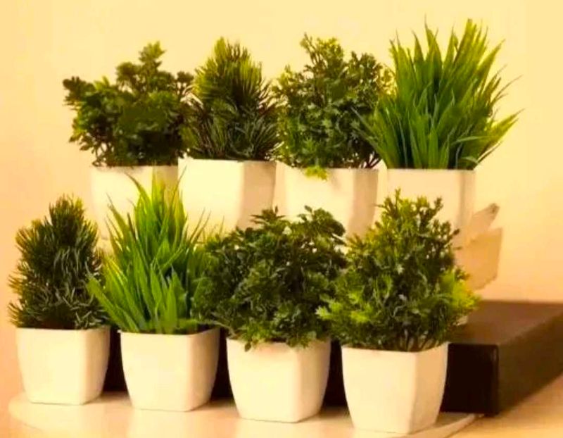 Pack Of 08 Artificial Plant Decor
