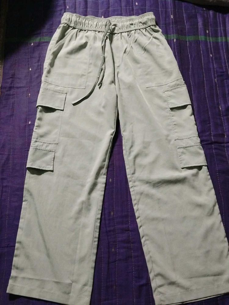 Silver cargo pant