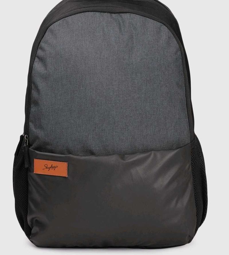 Skybags Backpack - Gray