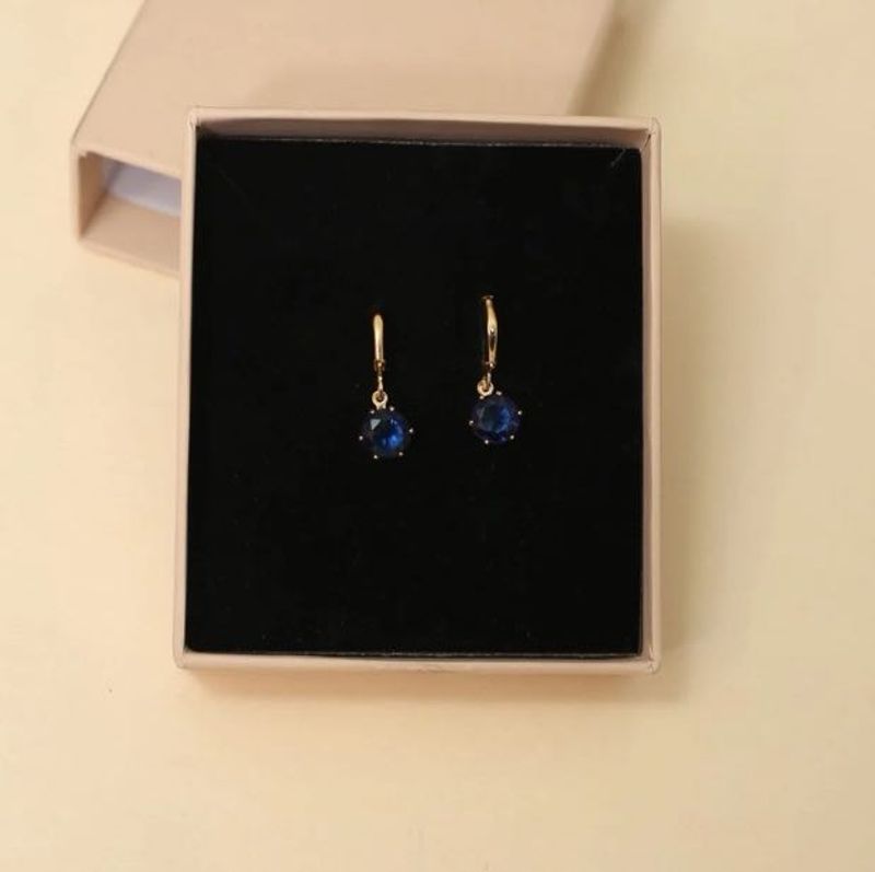 Elegant Blue Stone Drop Earrings