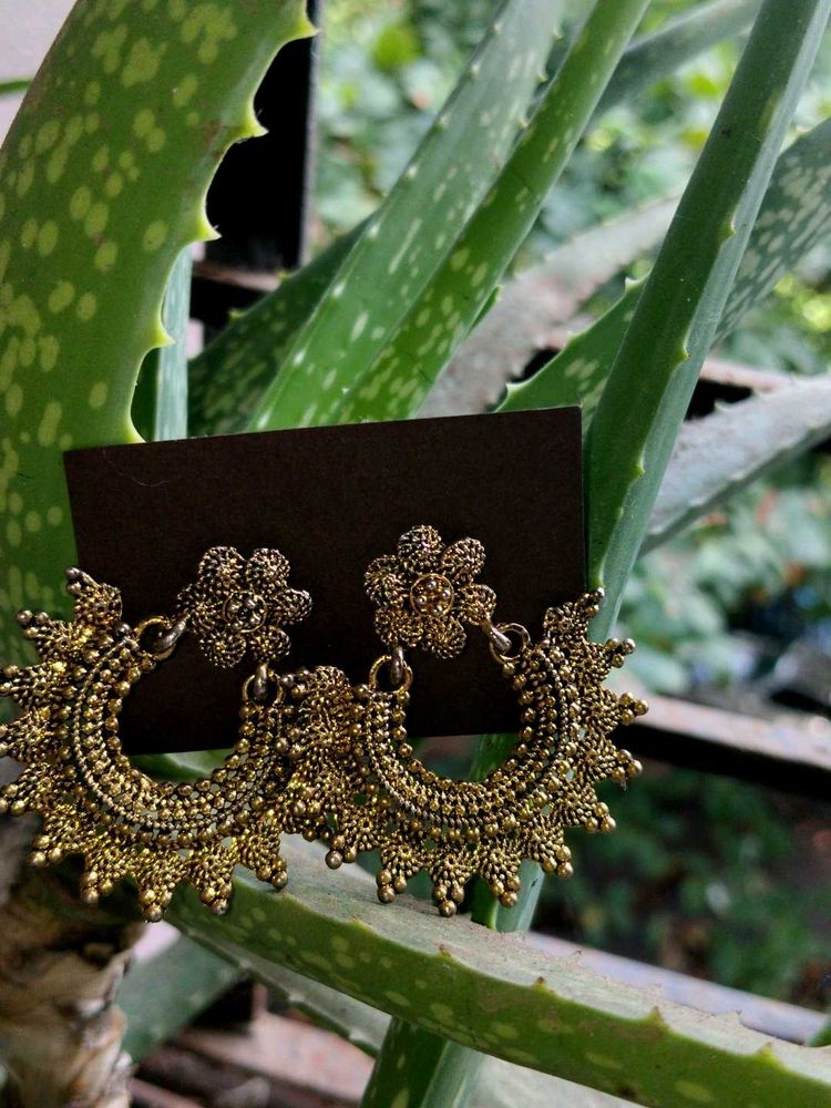 Exquisite Jhumka Earrings