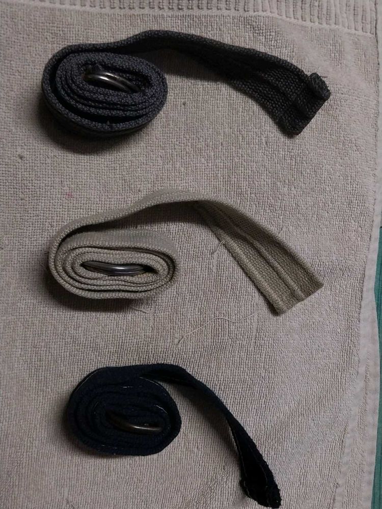 Set of 3 stylish belts for trousers and jeans