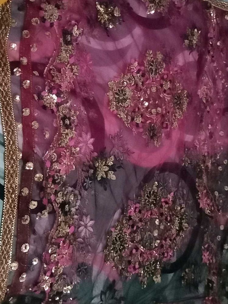 beautiful sequence work net dupatta