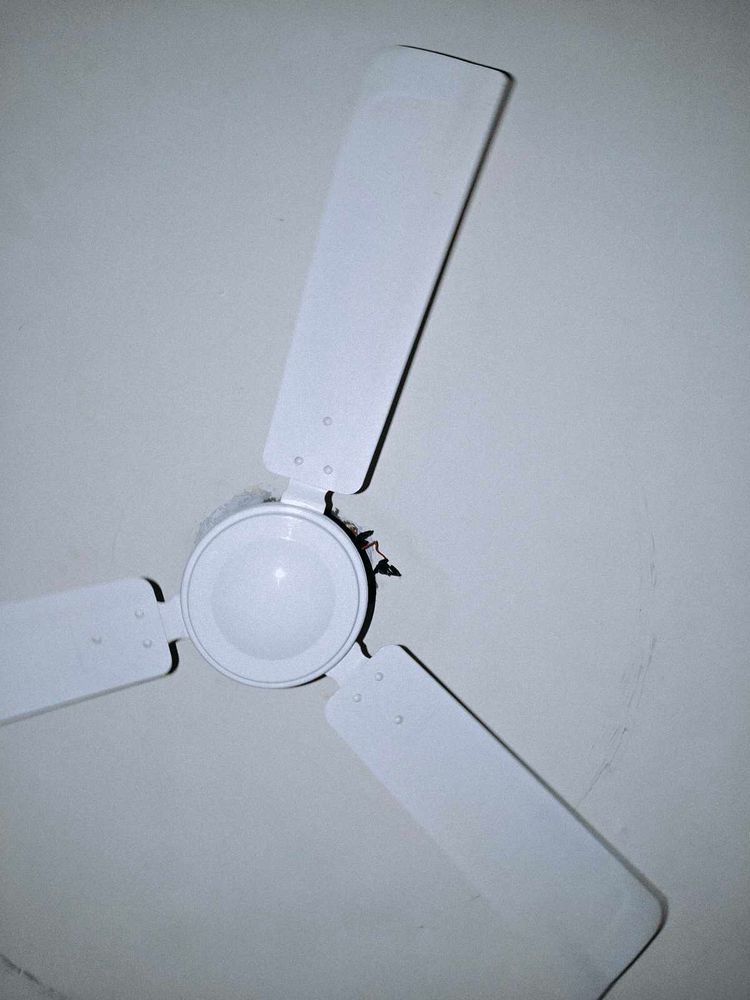 Angler Industries Ceiling Fan