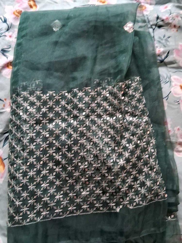 Never Used Organza Elegant Sequin Work Saree