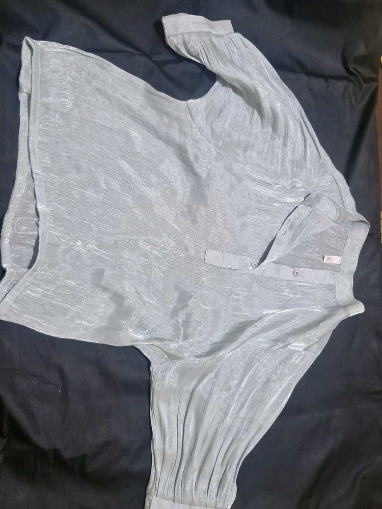 Sheer Metallic Blouse