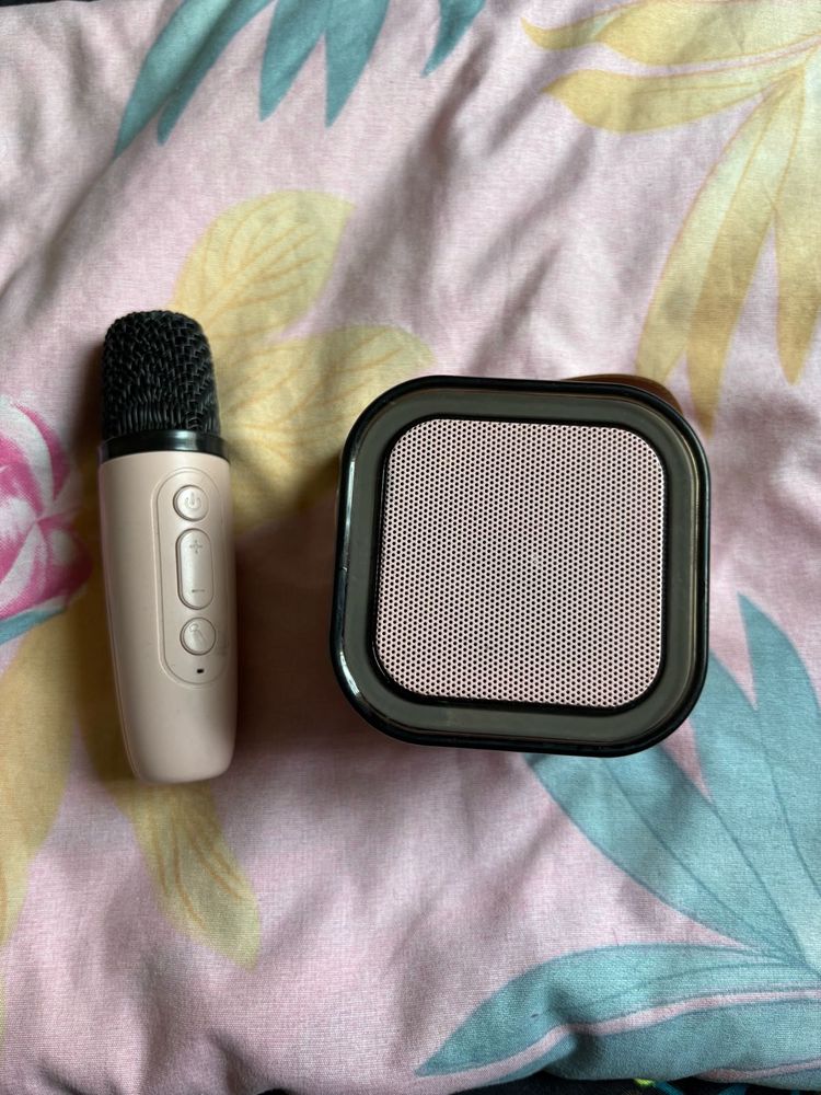Portable Wireless Microphone and Speaker Set