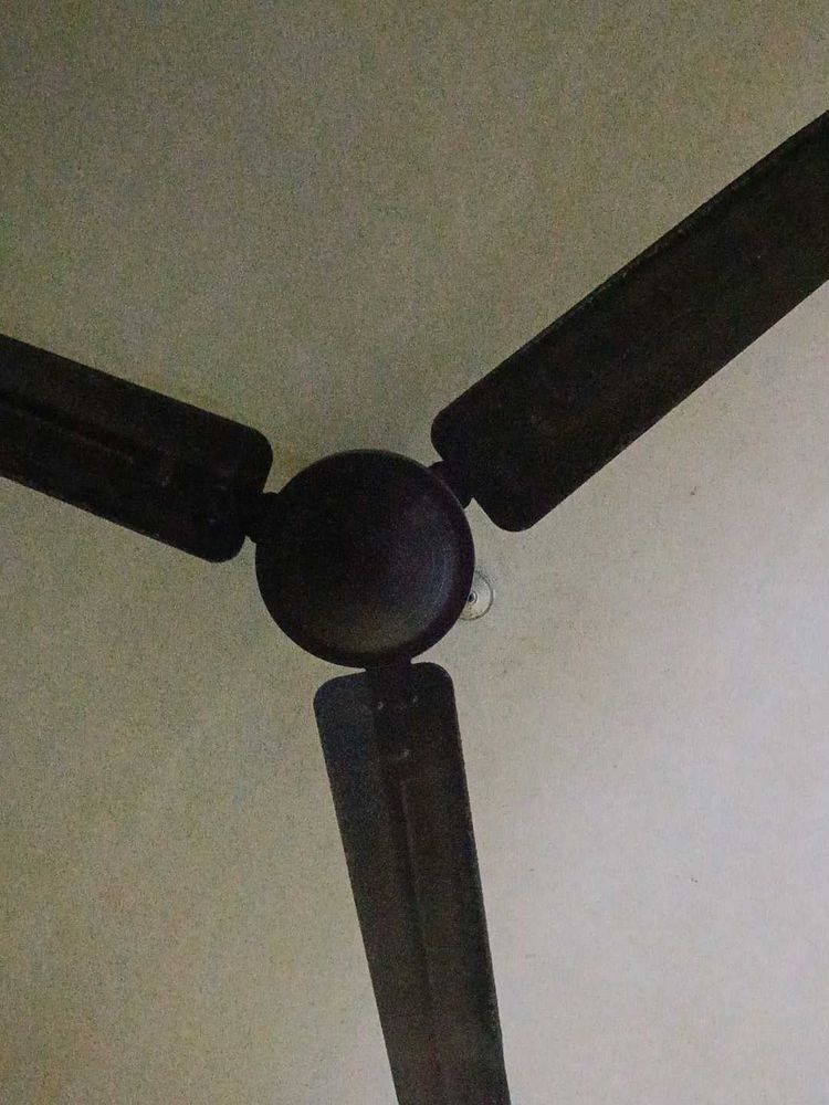 Ceiling Fan