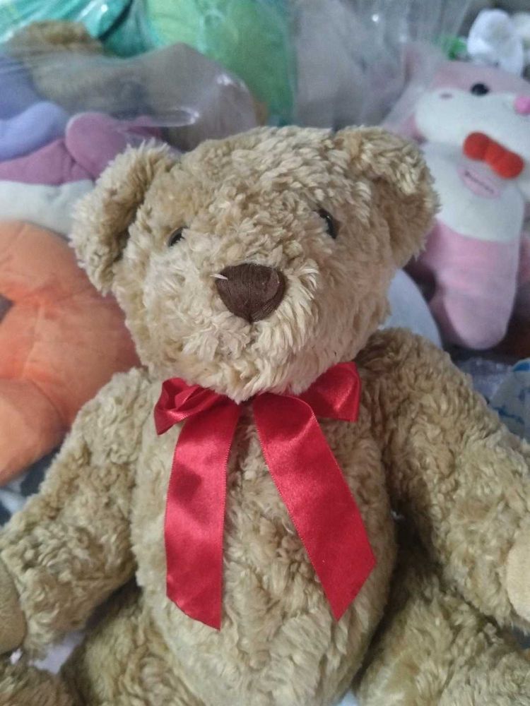 Cute Teddy Bear Plush Toy