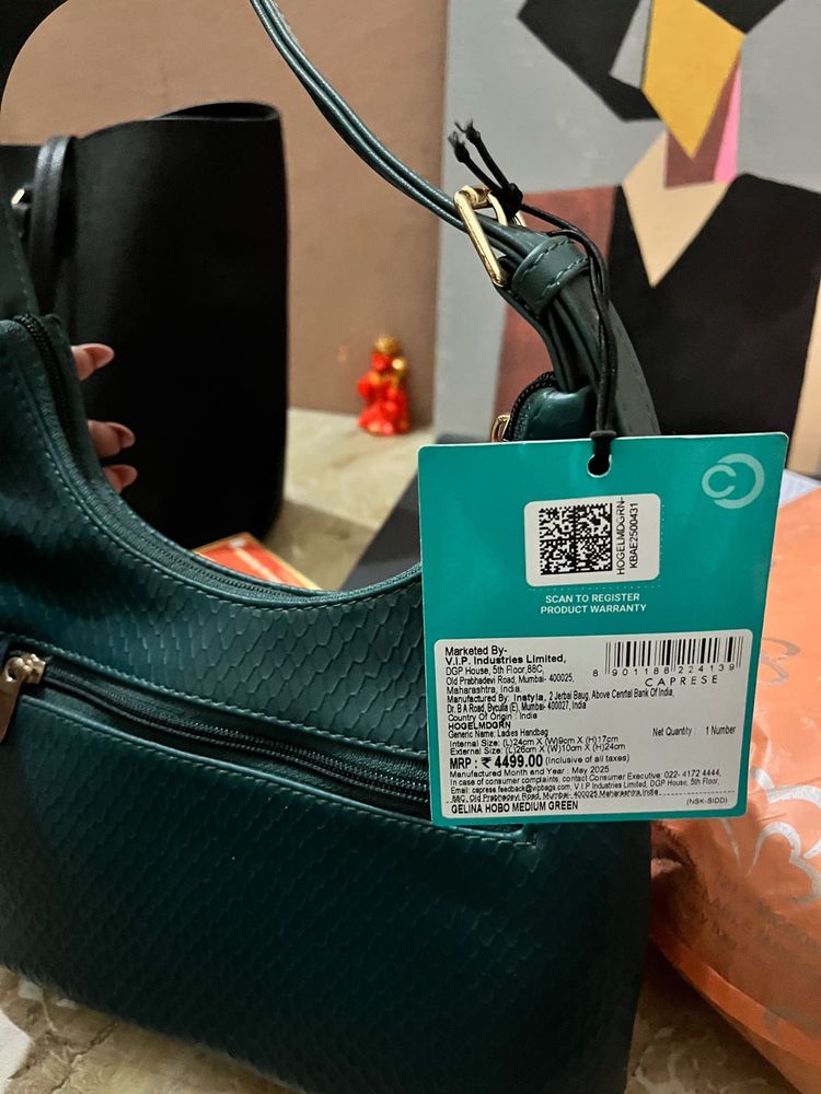 Caprese Green Hobo Handbag