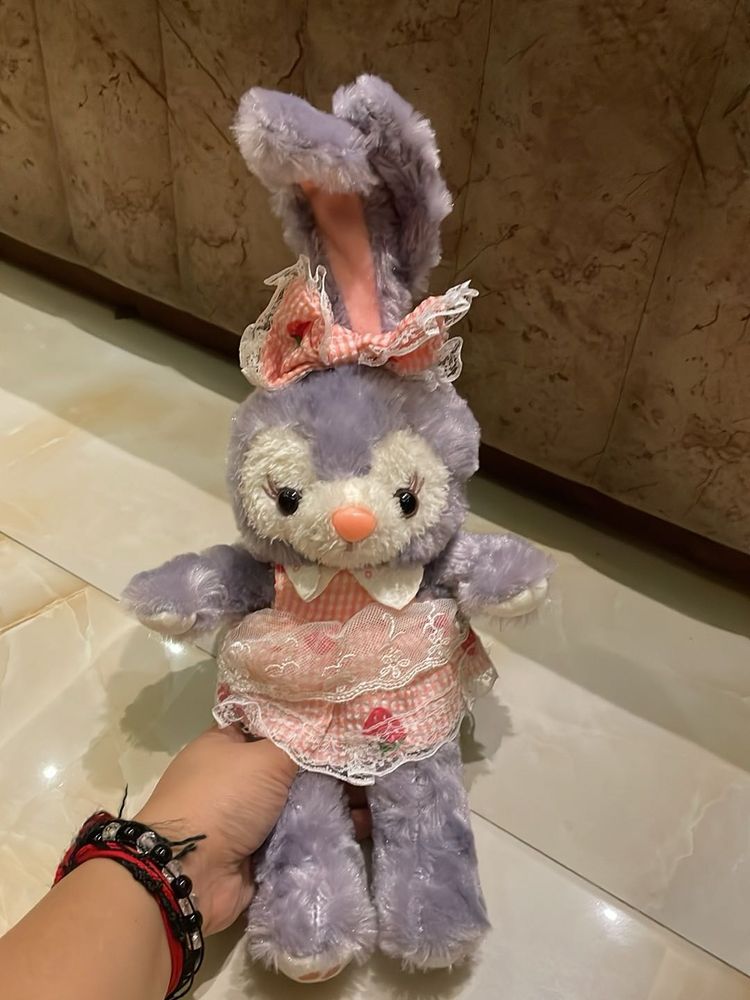 Stella bunny
