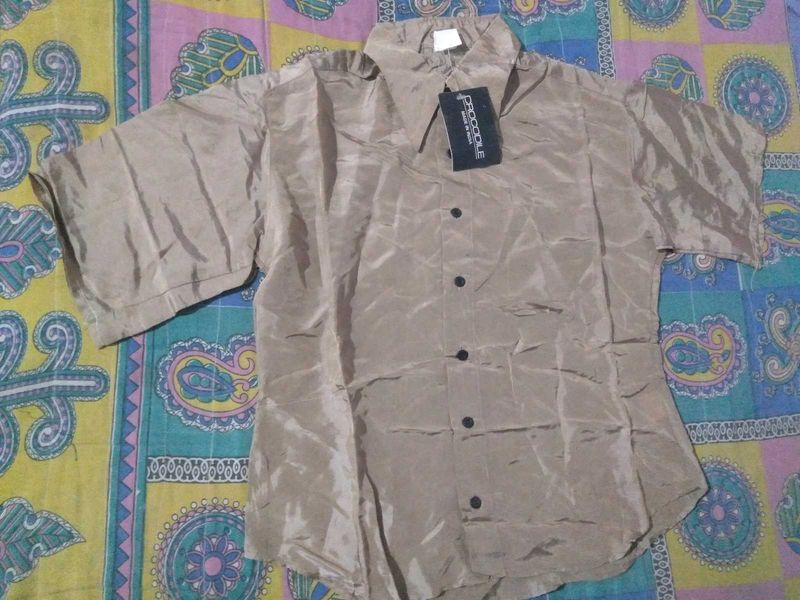 Brown Short Sleeve Casual Shirt