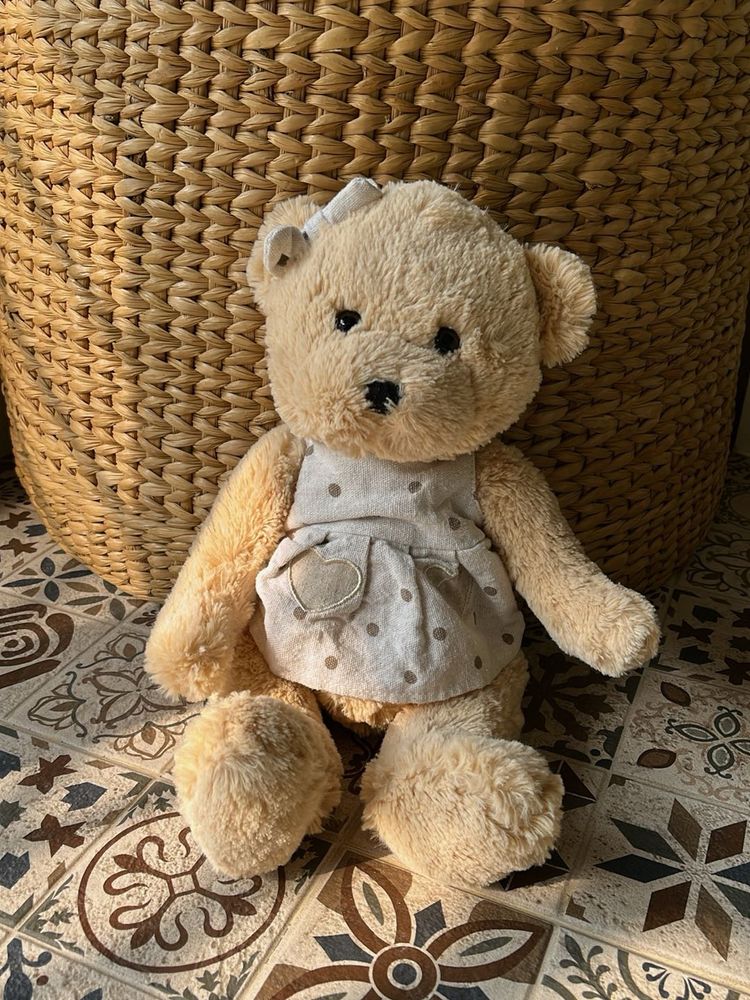 Teddy Bear Stuffed Toy