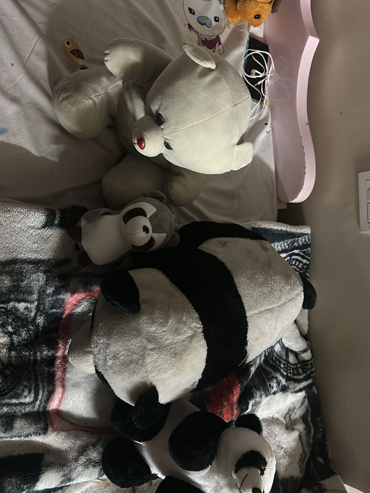 Cute Panda Plush Toys Bundle