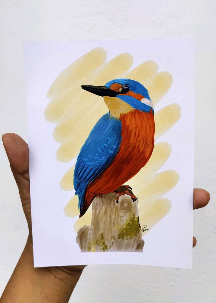 Kingfisher - Unframed Artwork