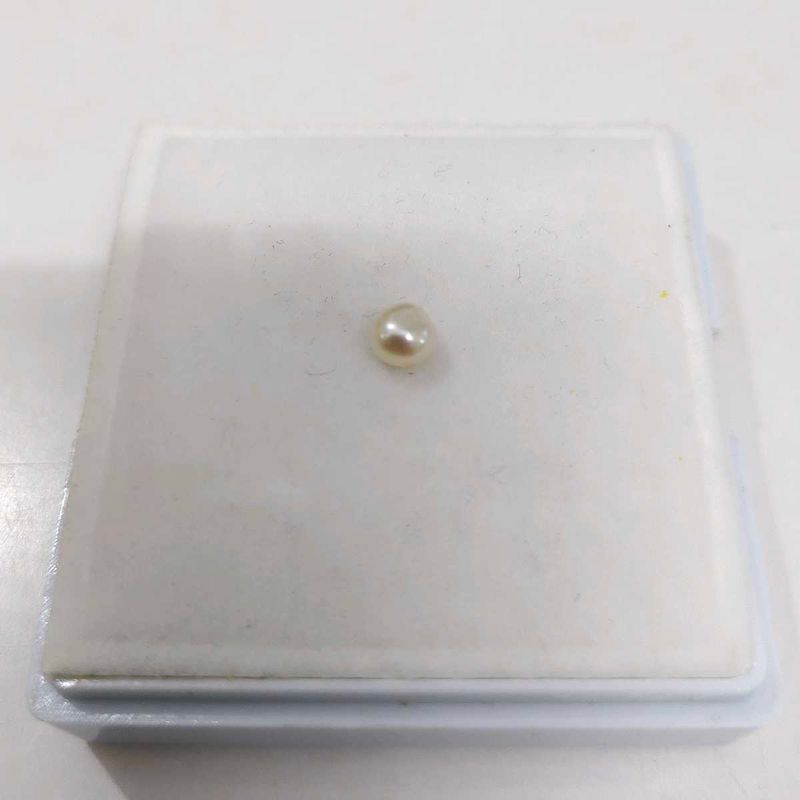 Single real Pearl Gemstone