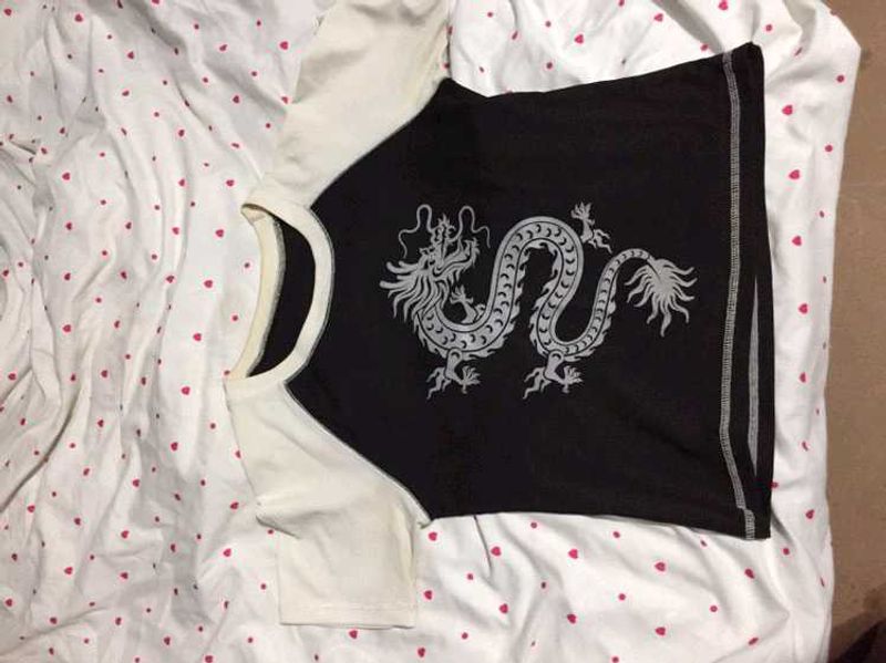 Dragon Graphic Cropped Top