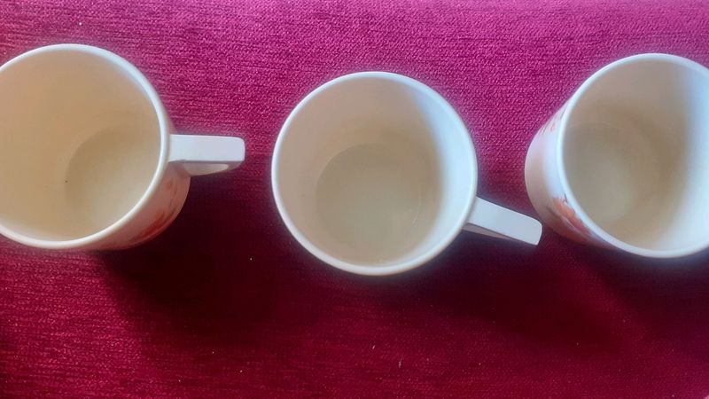 Ceramic Cups
