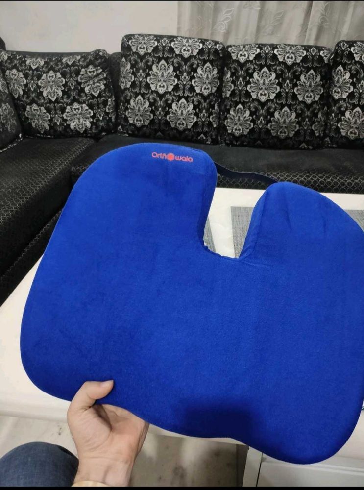 Blue Orthowala Cushion