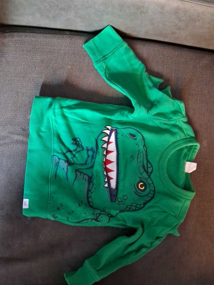 Kids Green Dinosaur Graphic Sweatshirt