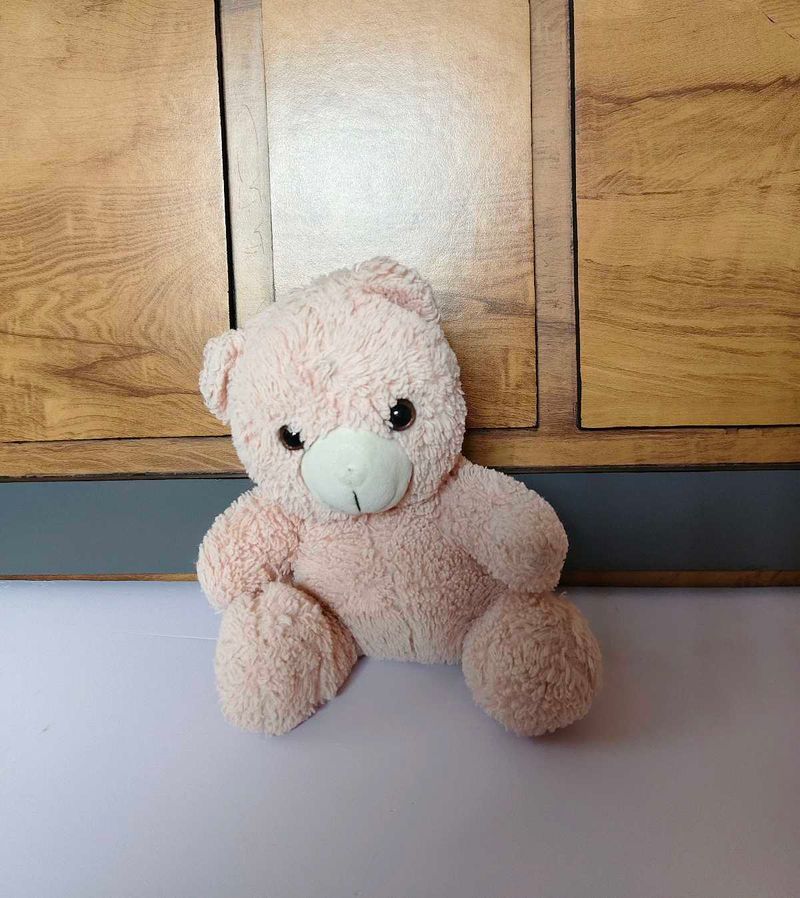 Cute Pink Teddy Bear Plush Toy
