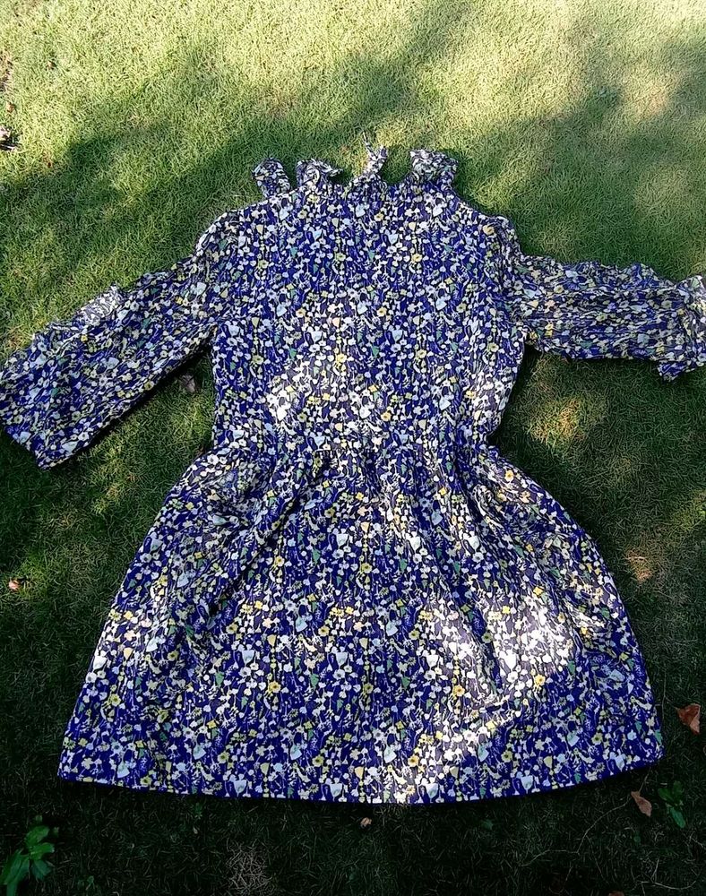 zara Floral Print Dress