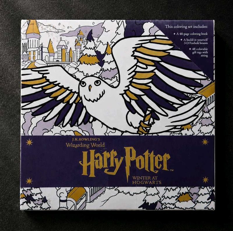 💥 Price Drop 🪄❄️ Harry Potter™ Winter at Hogwart