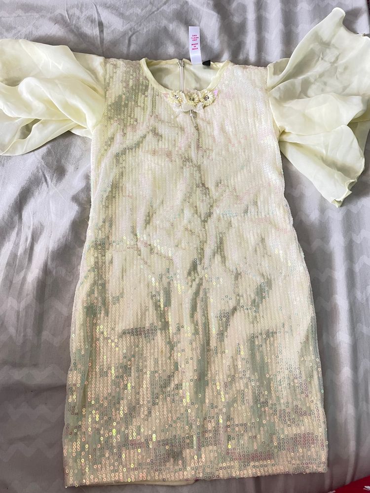 Sparkly Sequin Dress with Flowy Sleeves
