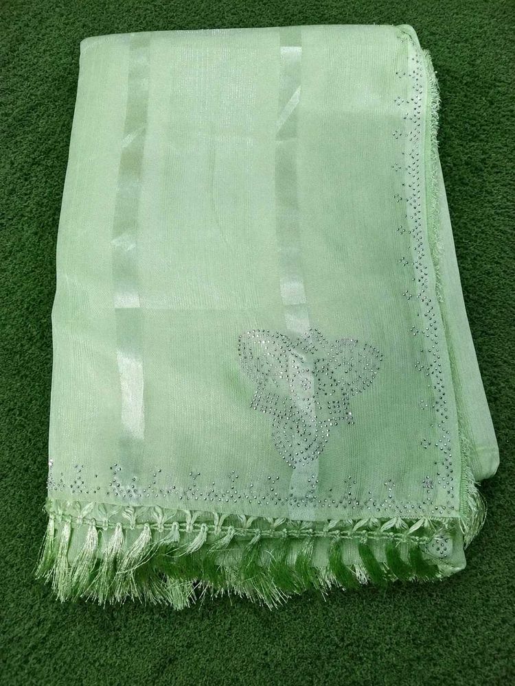 Elegant Pastel Green Embellished Saree