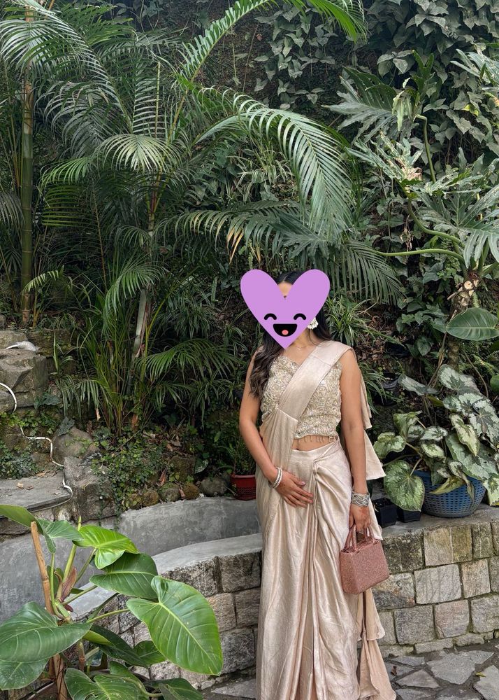 Elegant champagne gold Saree with Embellished Blou