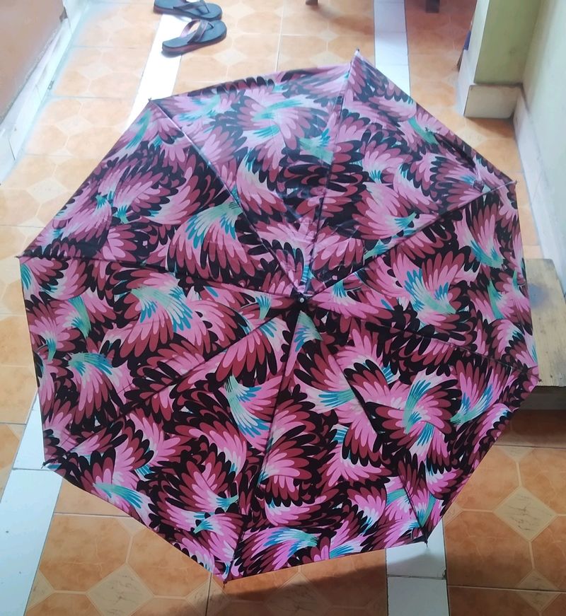 Double Color Umbrella (2 Combo Sets)