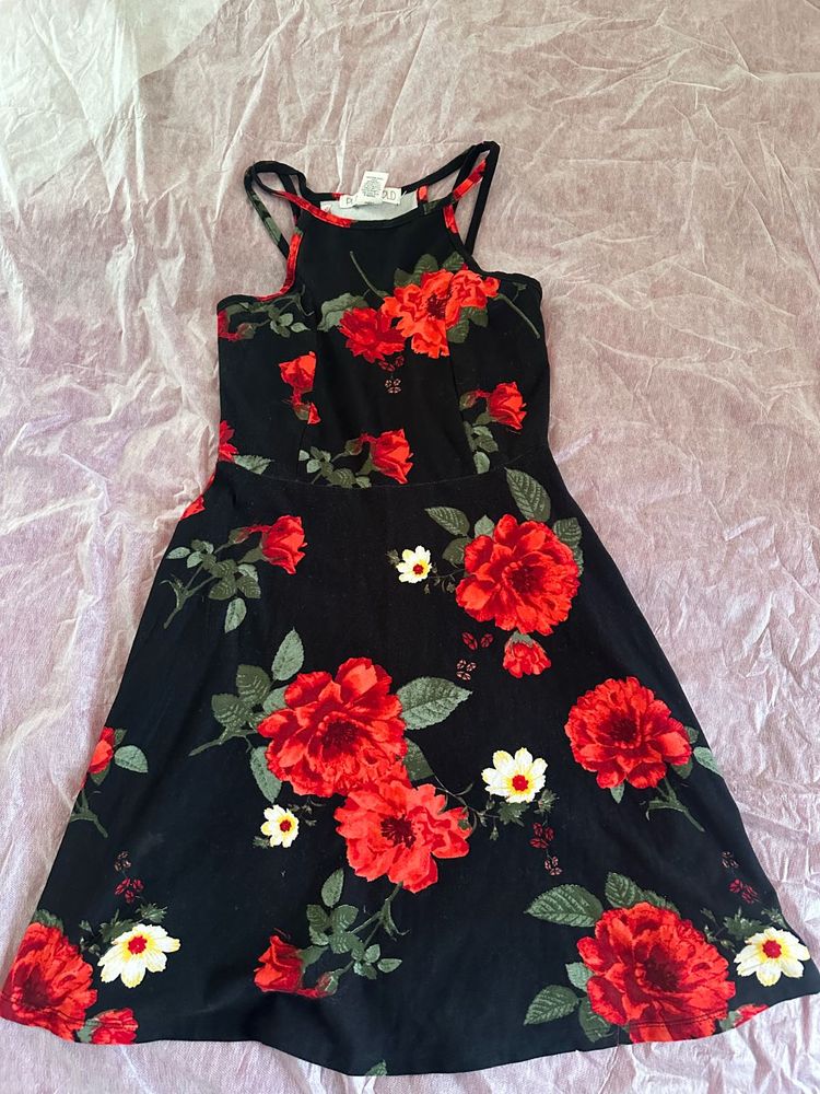 Floral Skater Dress