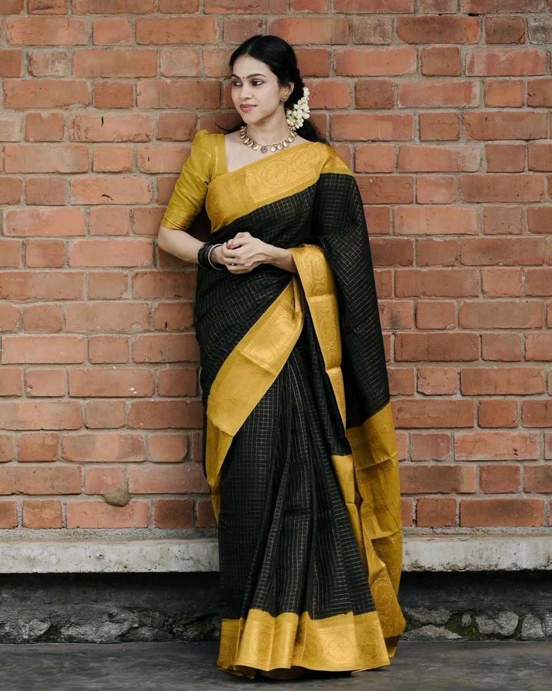 Elegant Black &amp; Gold Saree