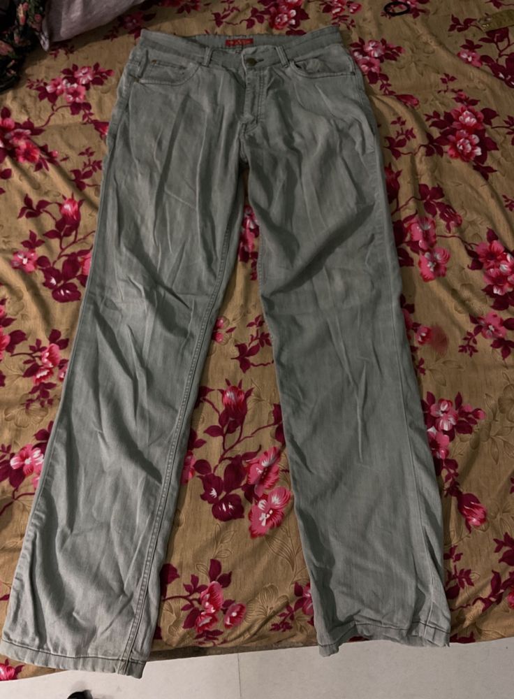 Grey Jeans Pants