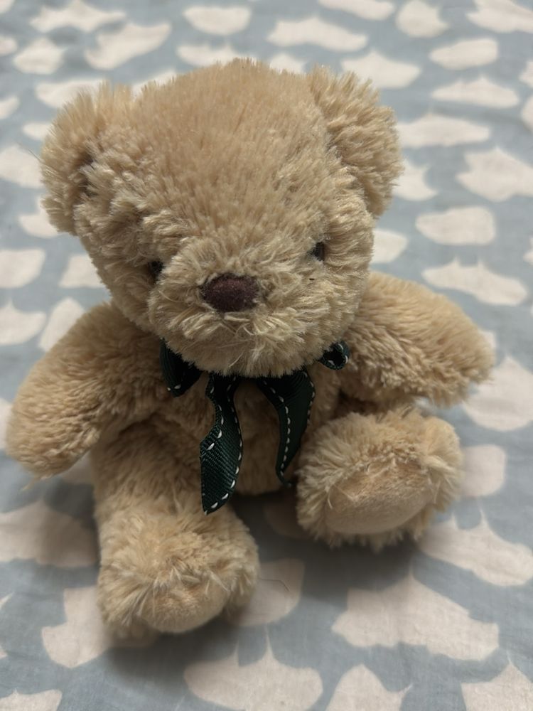 Cute Small Teddy Bear