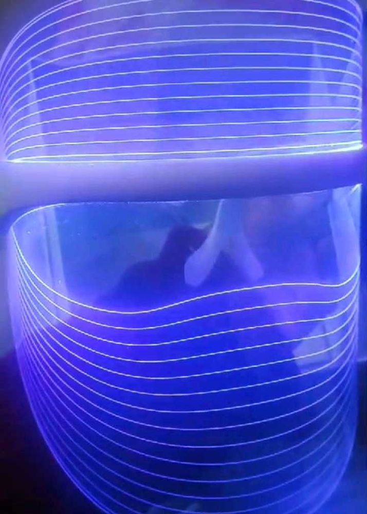 Protouch Led Mask