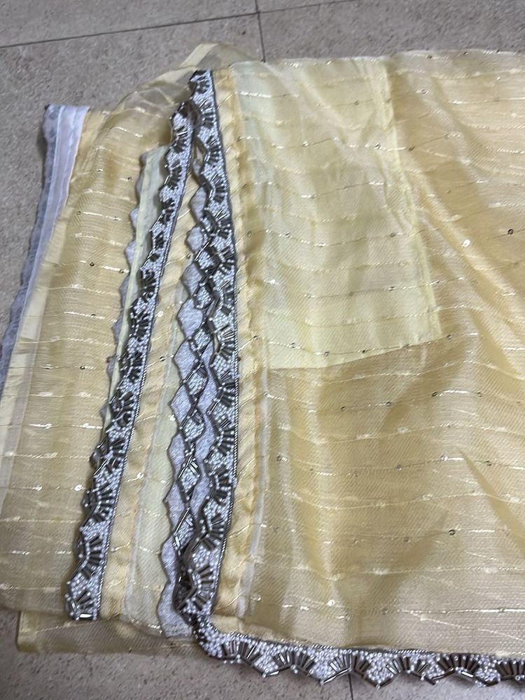 Elegant Embellished Saree