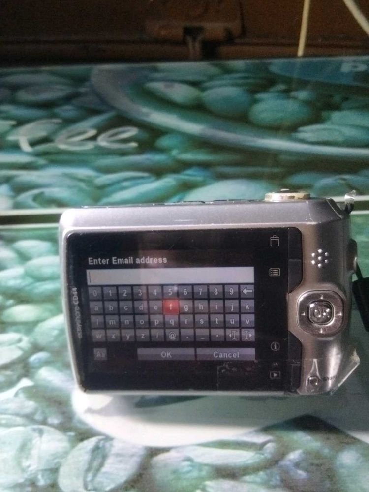 Vintage Digital Camera