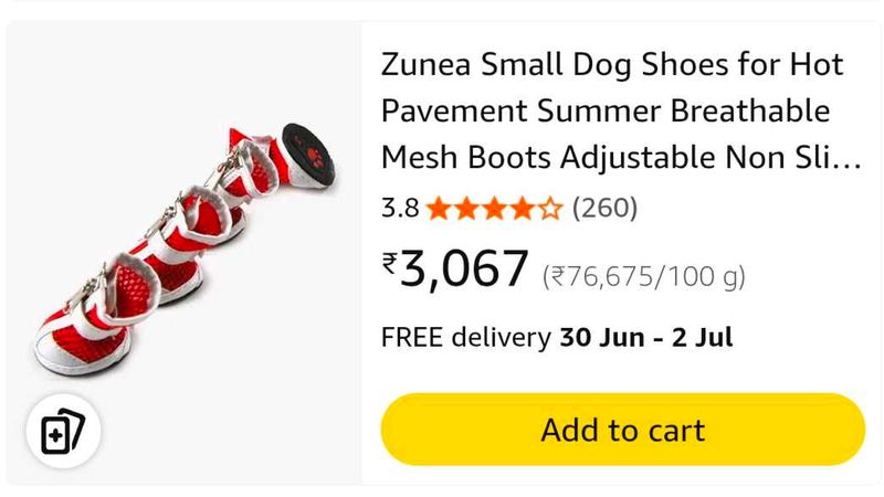 NOOTIE DOG SHOES