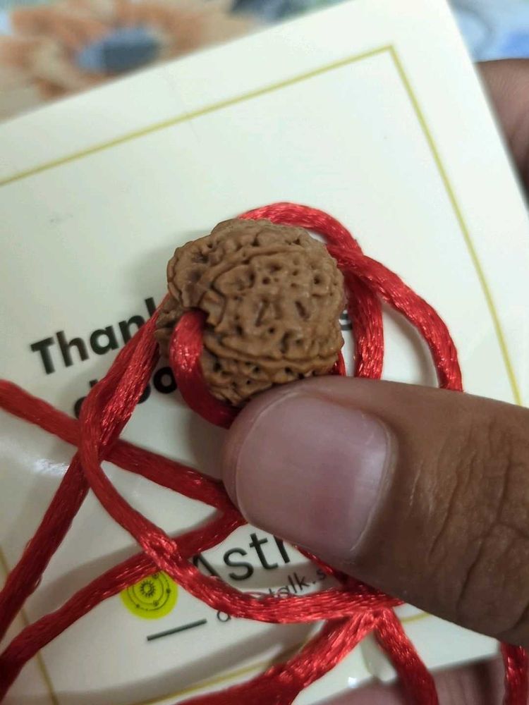 Rudraksha Pendant Necklace 5 Mukhi Nepal Or