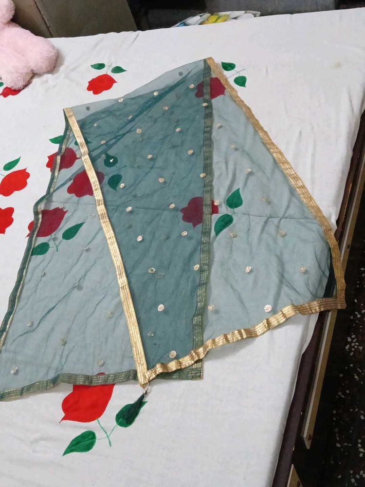 Elegant Teal Dupatta with Gold Border combo 3