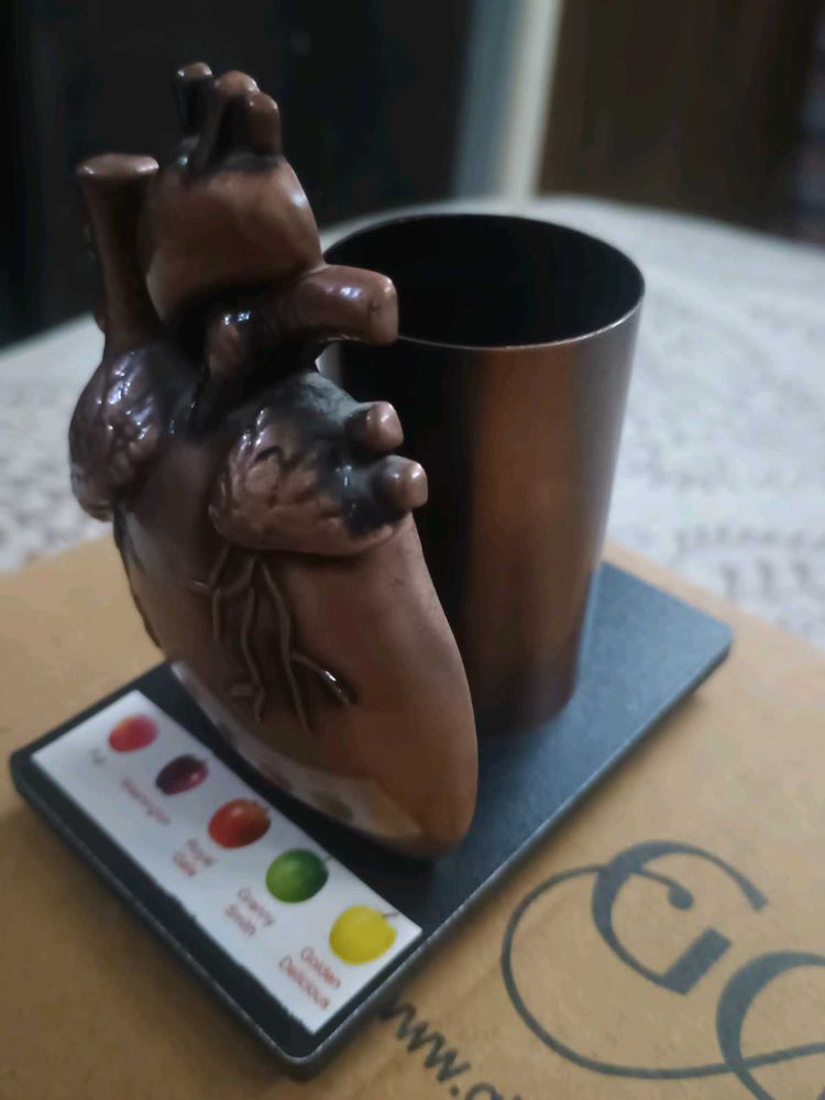 Unique Anatomical Heart Pen Holder
