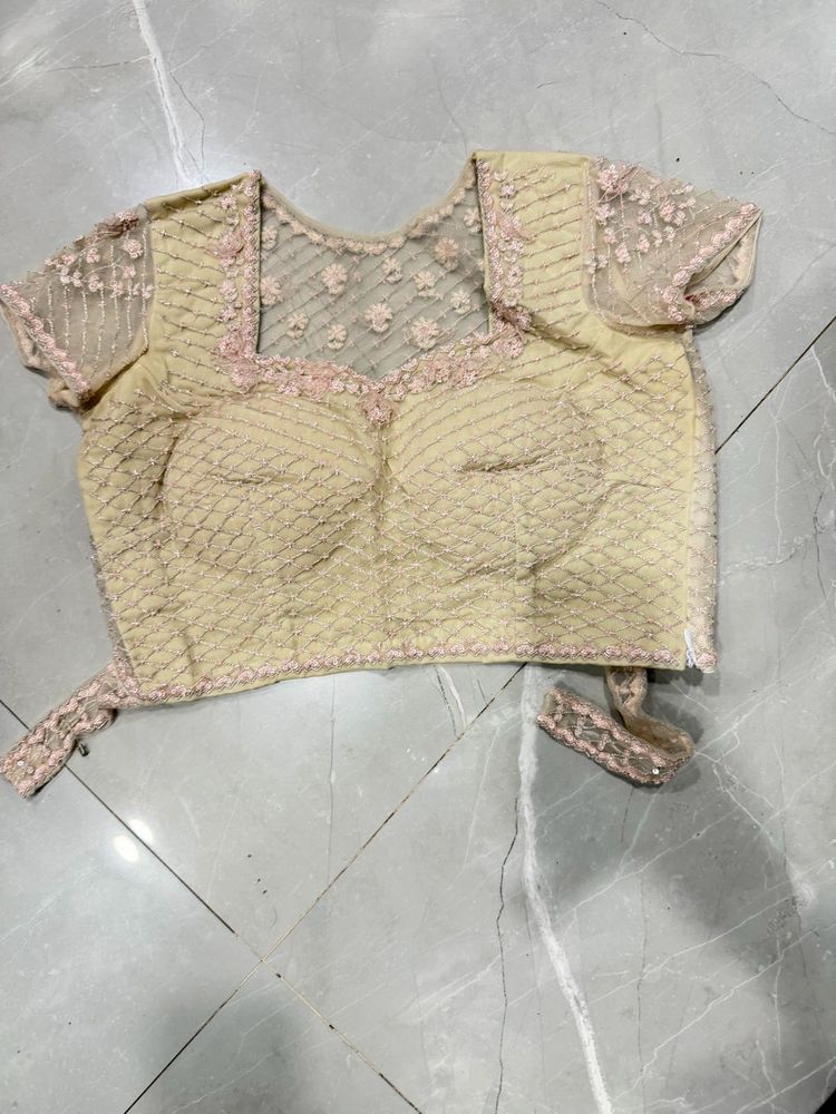 Designer Ethnic saree and Blouse