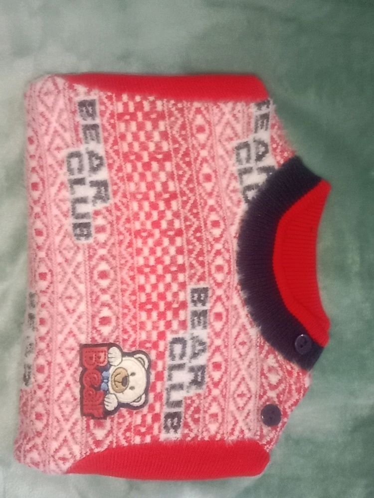 Cute Bear Club Knit Sweater
