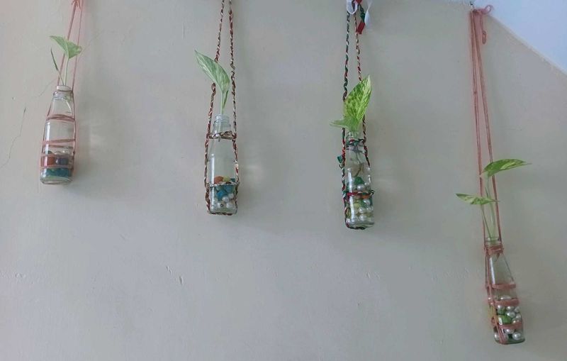 Hanging Glass Bottle Planter With Plant
